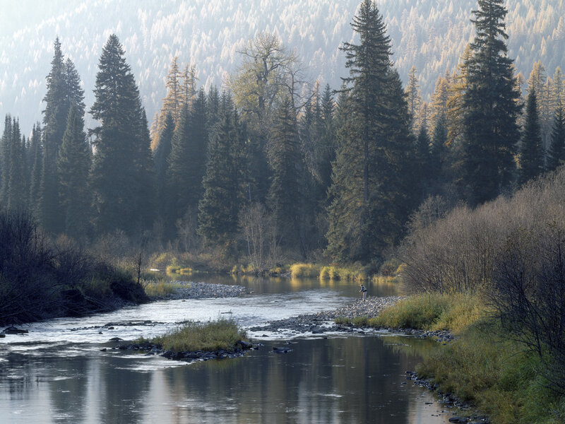Fisherman on a forest river
