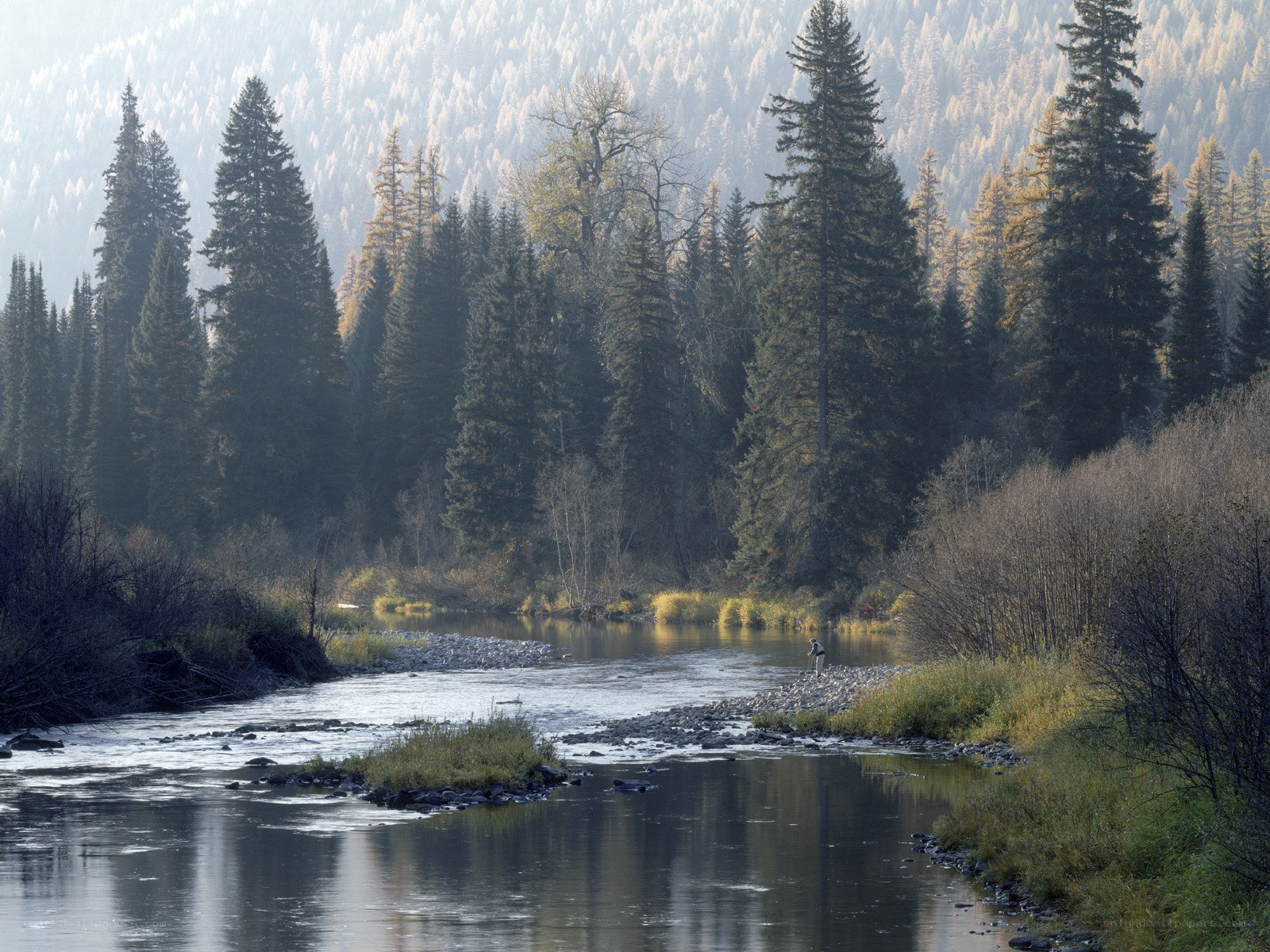 Fisherman on a forest river
