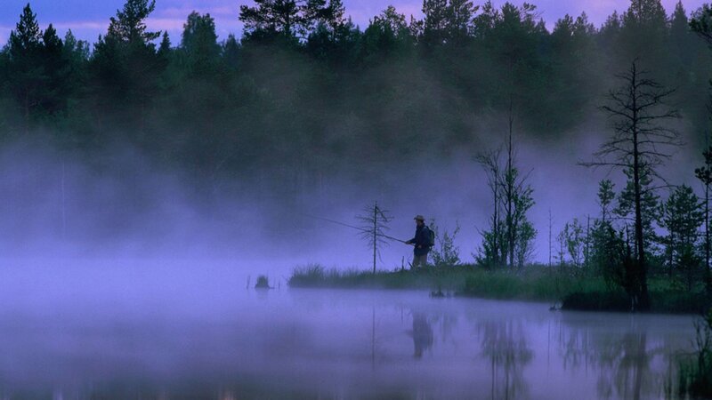 Fisherman on a Misty Shore