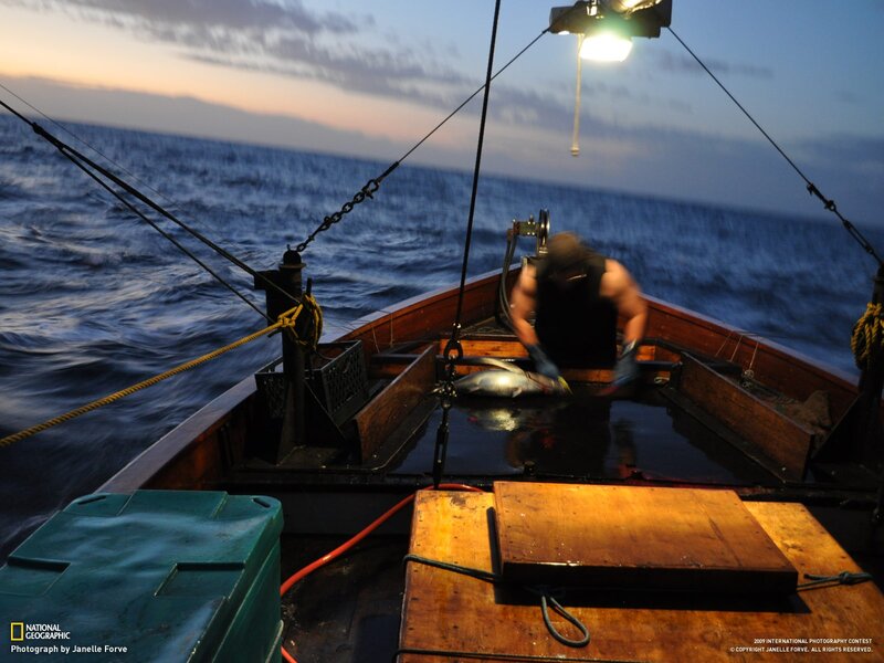 Fisherman on Boat — Blue, Dramatic