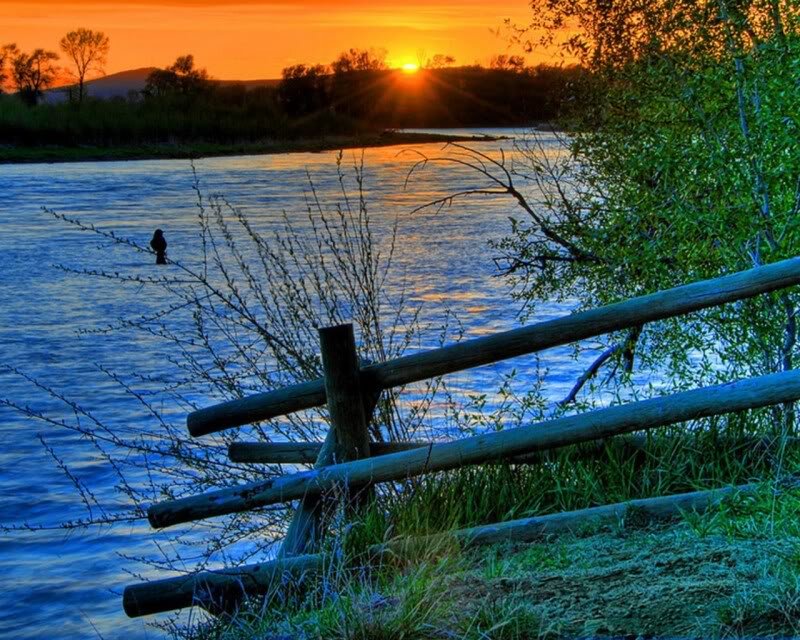 Fisherman on River
