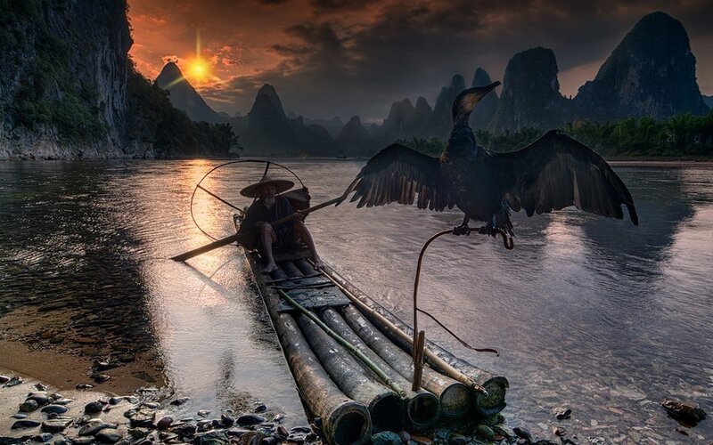 Fisherman with Cormorant