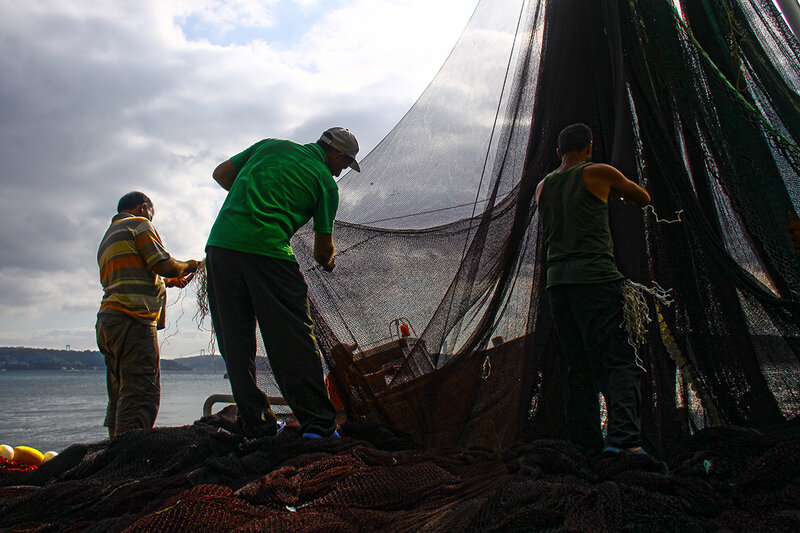 Fishermen Handling Nets