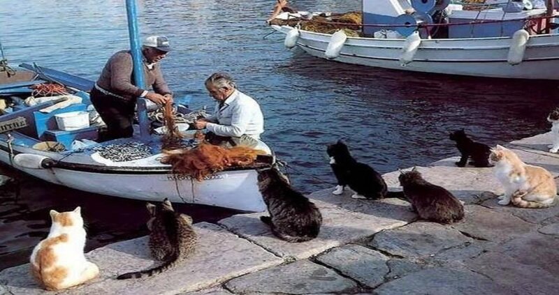 Fishermen with Cats — Blue