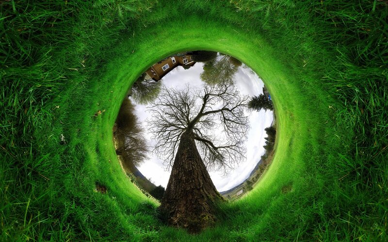 fisheye view of tree and house