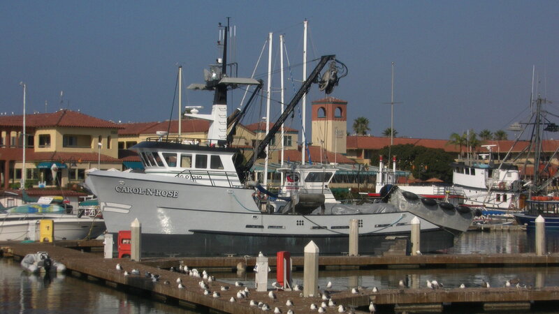 Fishing Boat at Dock — Gray