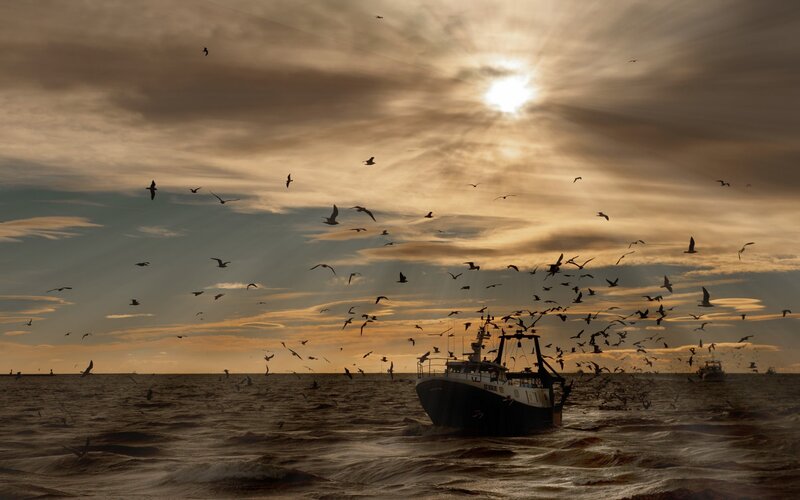 Fishing Boat at Sea — Brown