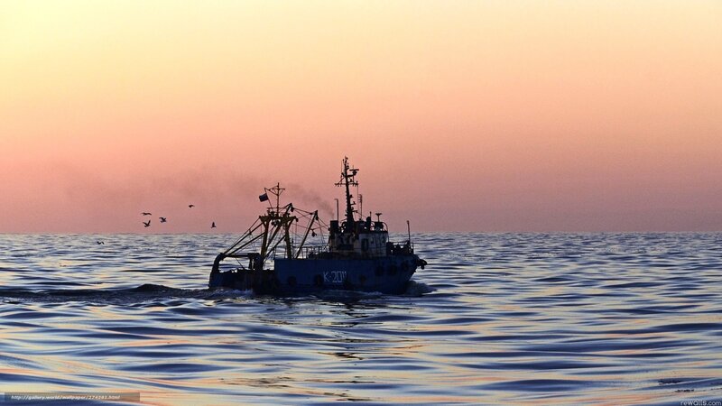 Fishing Boat at Sea — Orange, Serene