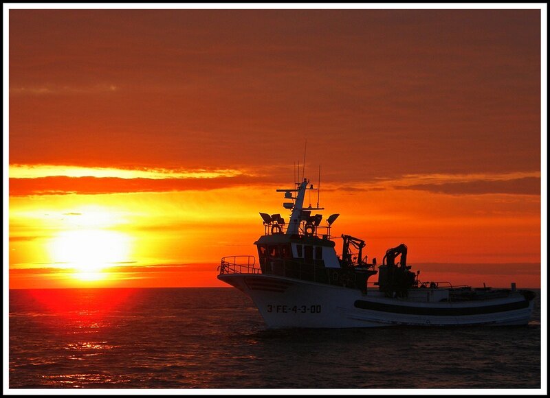 Fishing boat at sunset