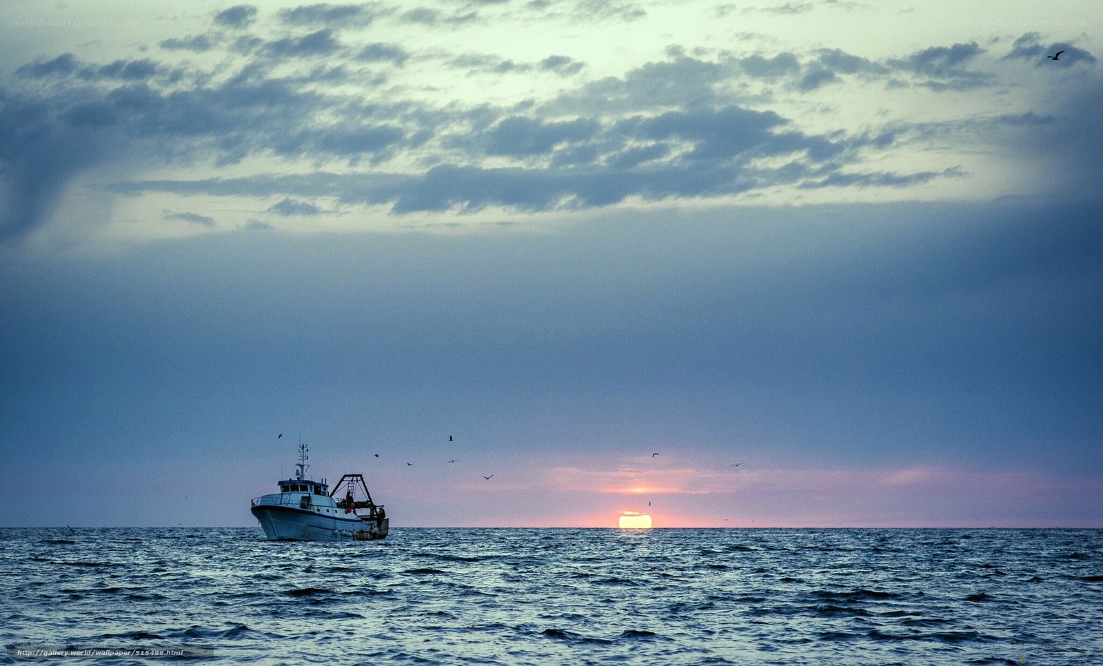 Fishing boat at sunset