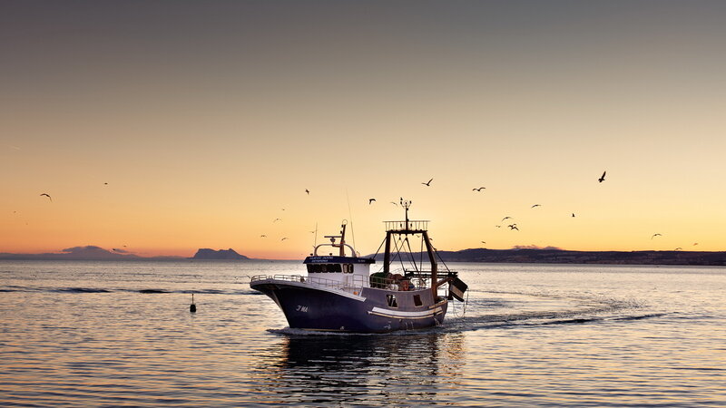 Fishing Boat at Sunset — Orange, Serene, Photograph, Birds