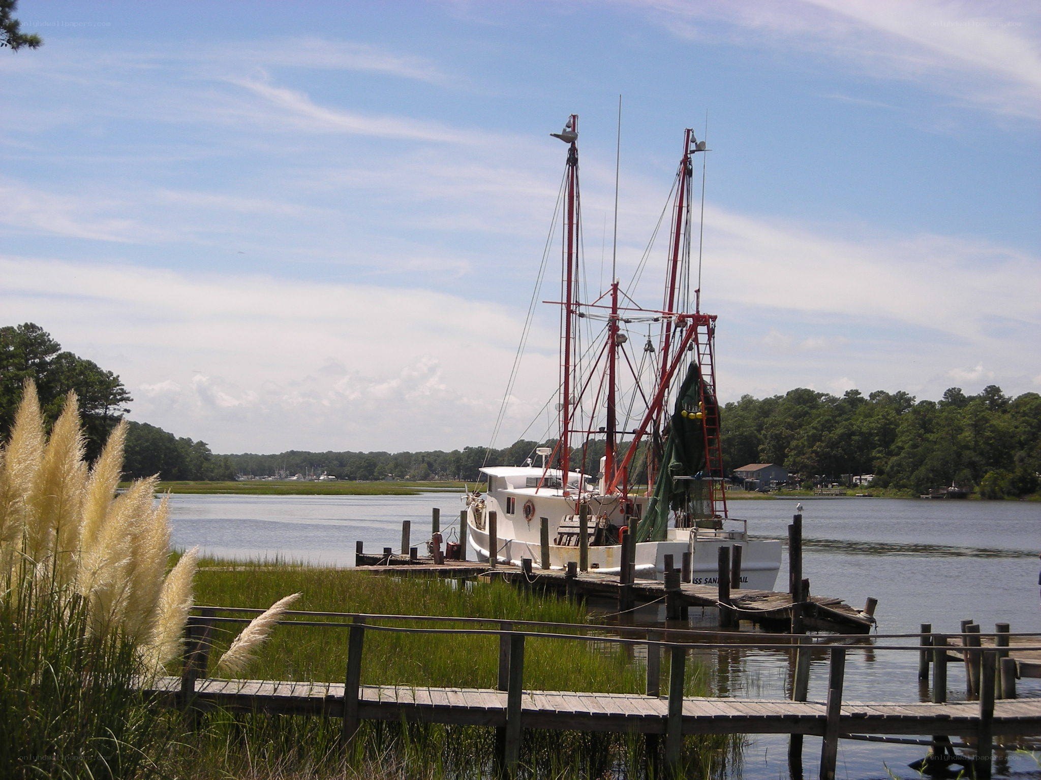 Fishing boat docked at a marsh