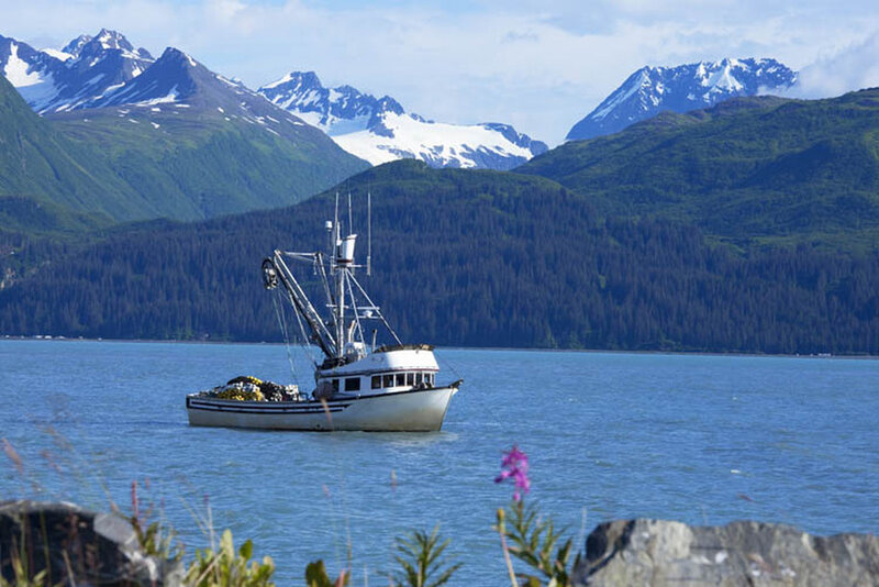 Fishing Boat in Bay — Blue