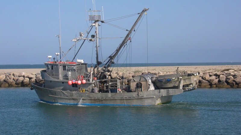 Fishing Boat in Harbor — Blue, Calm, Afternoon