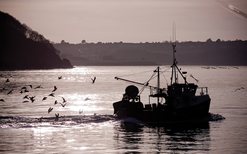 Fishing Boat in Harbor — Gray