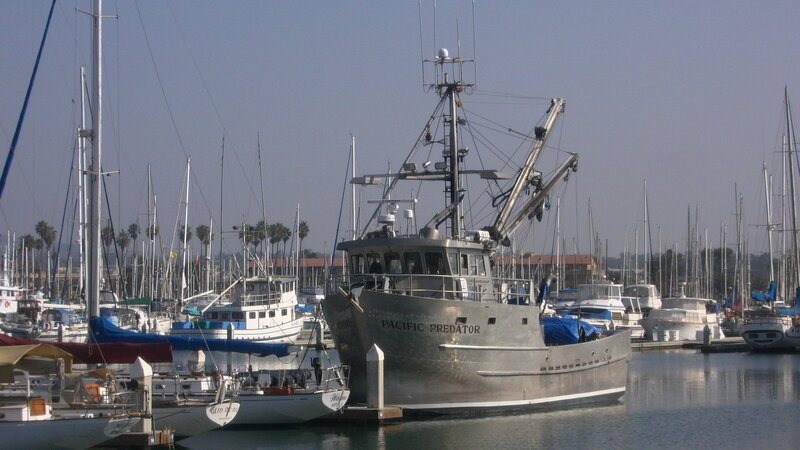 Fishing Boat in Marina