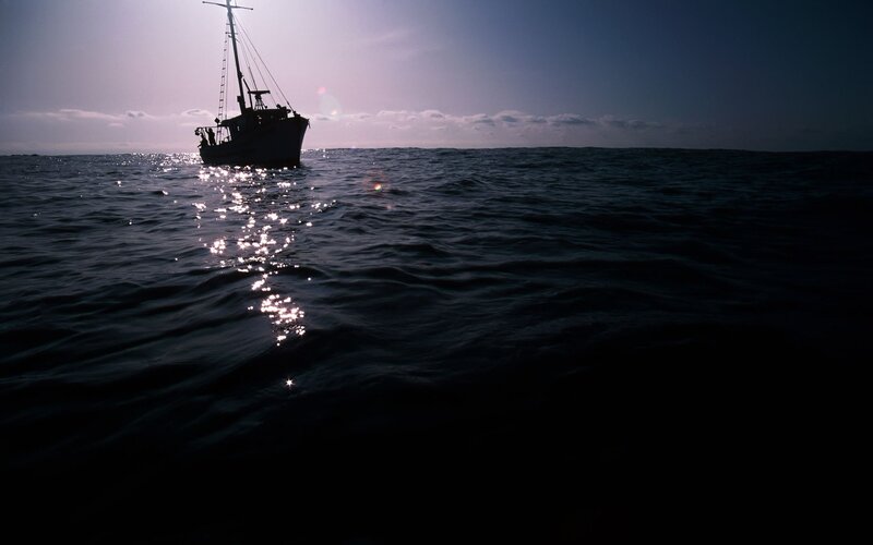 Fishing Boat on Ocean — Blue, Serene, Sunset