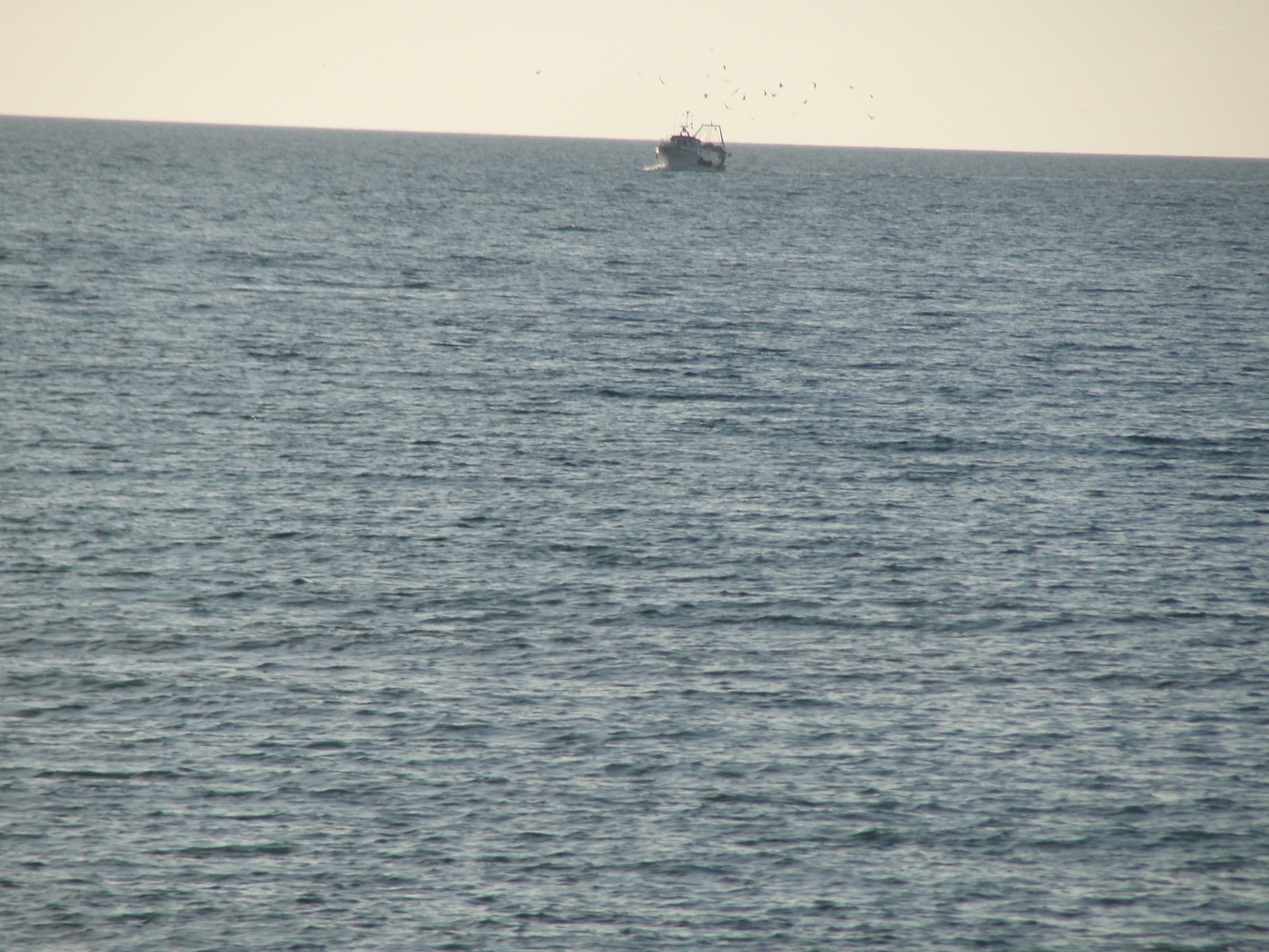 Fishing boat on the open sea