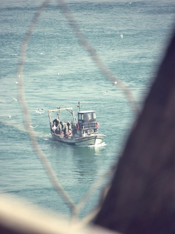 Fishing boat on the sea