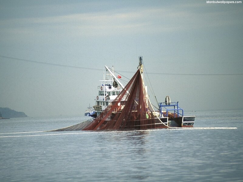 Fishing Boat with Nets — Blue