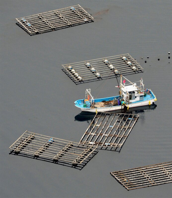 Fishing Boat with Nets