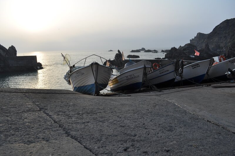 Fishing boats at a coastal harbor