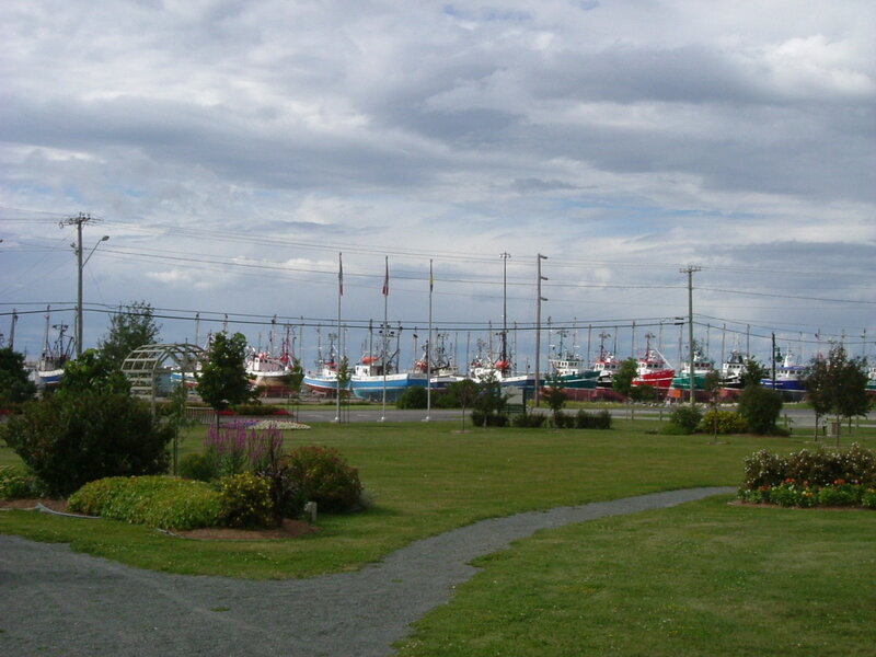 Fishing boats at a harbor
