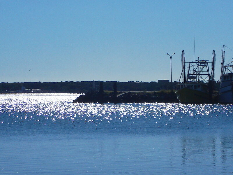 Fishing boats at a harbor