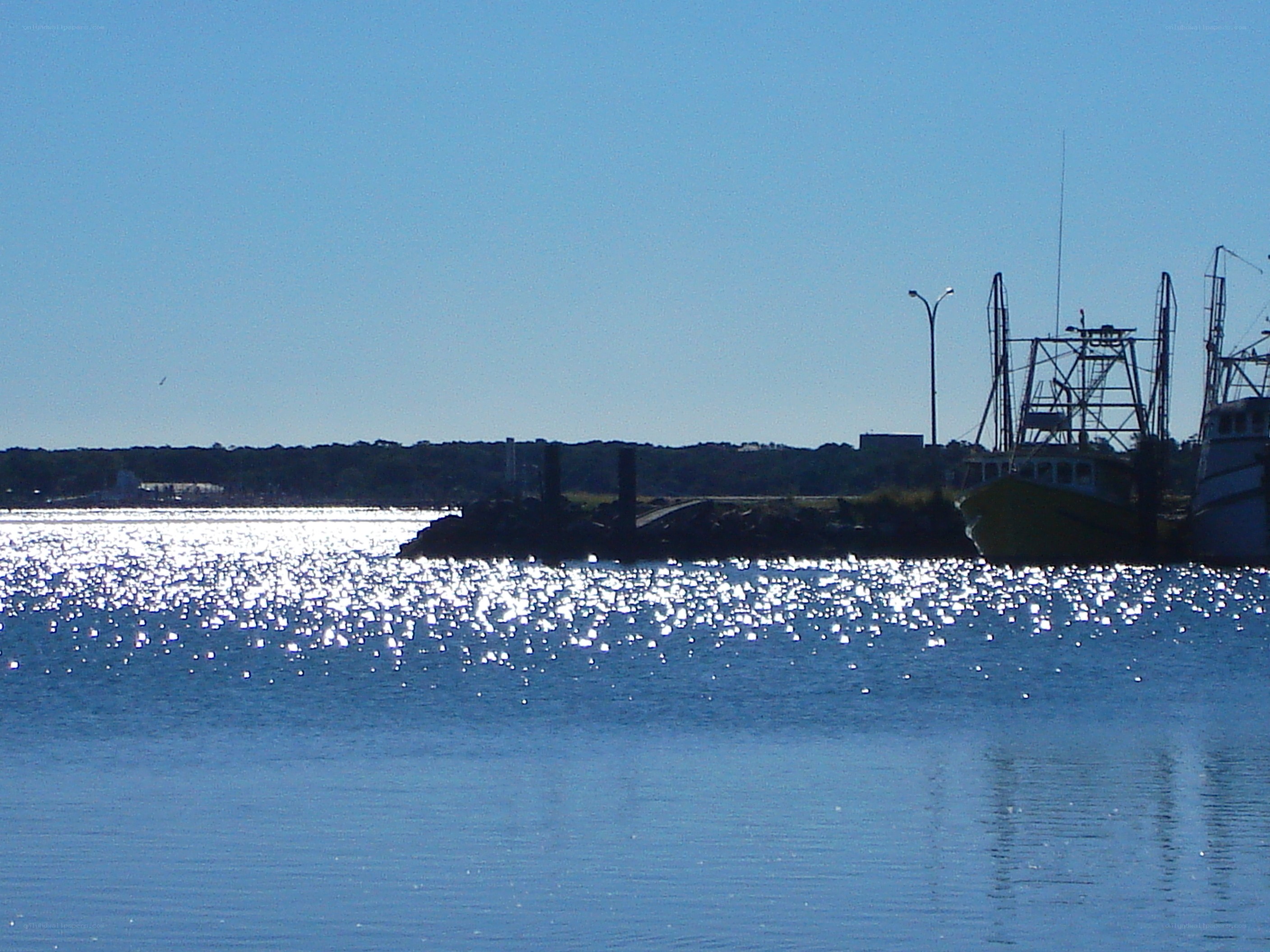 Fishing boats at a harbor