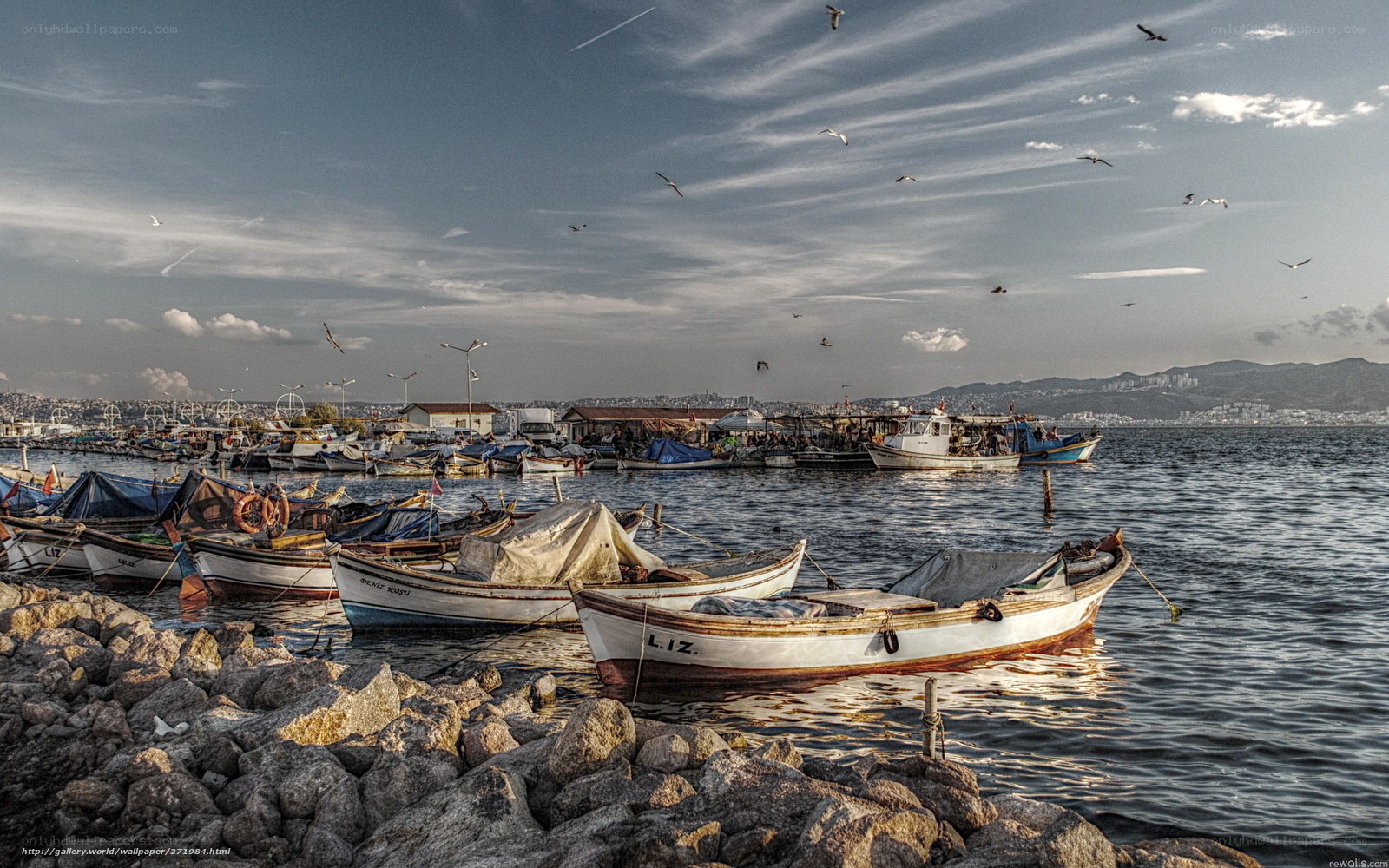 Fishing boats at harbor