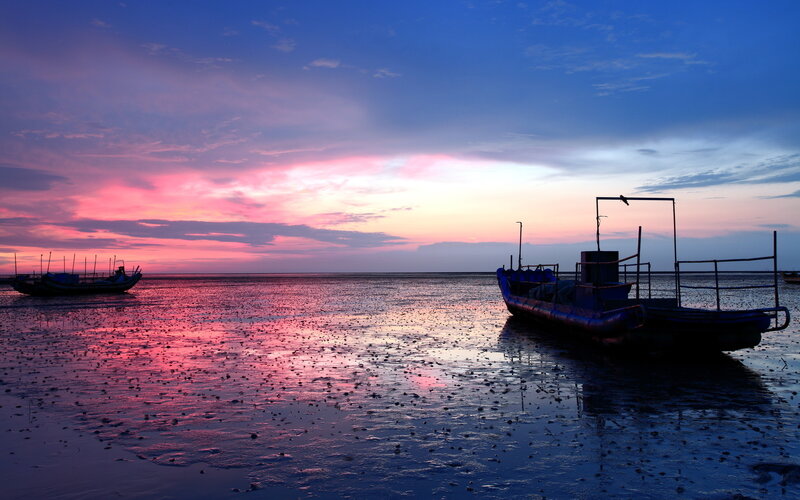 Fishing Boats at Low Tide — Pink