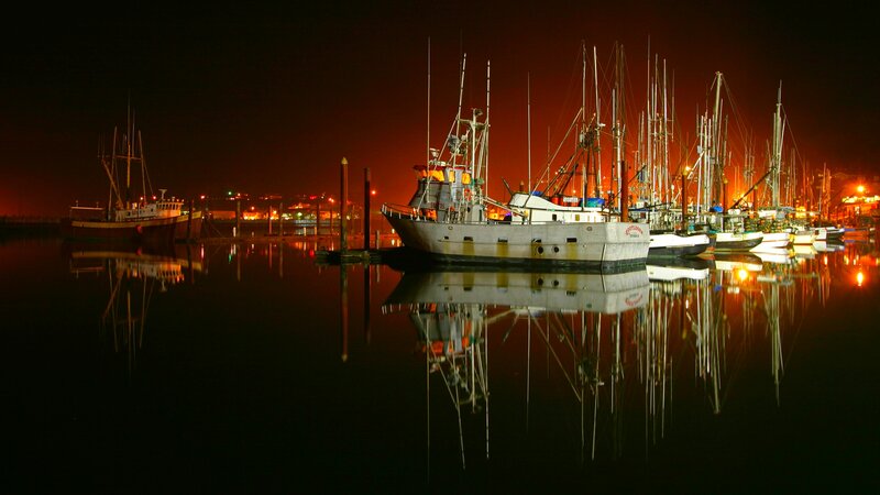 Fishing Boats at Night — Black