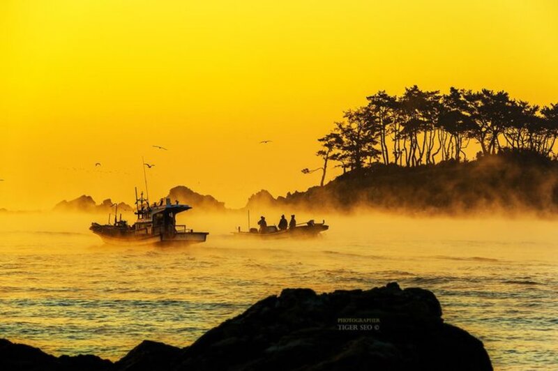 Fishing Boats at Sunrise — Yellow