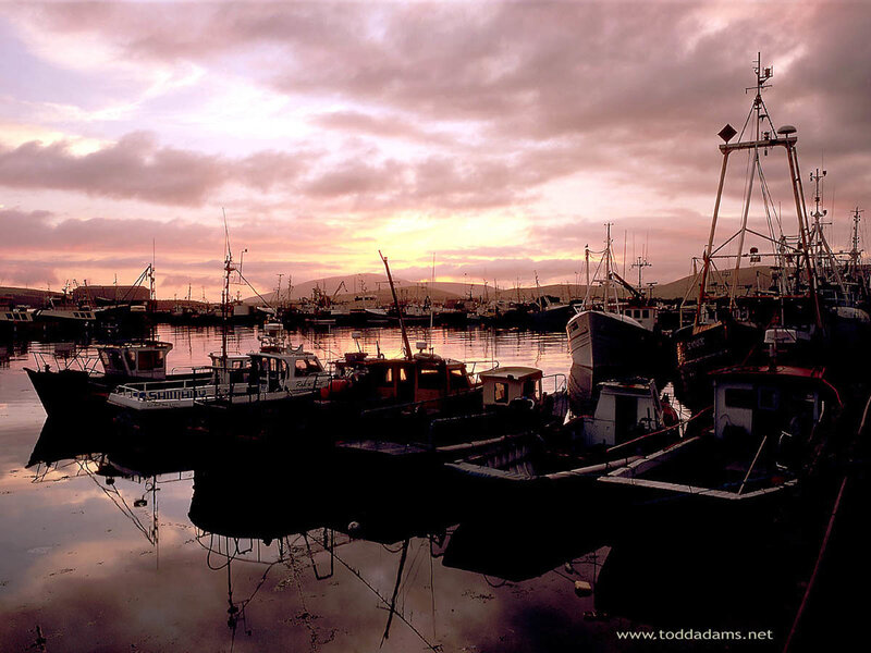 Fishing boats at sunset in harbor