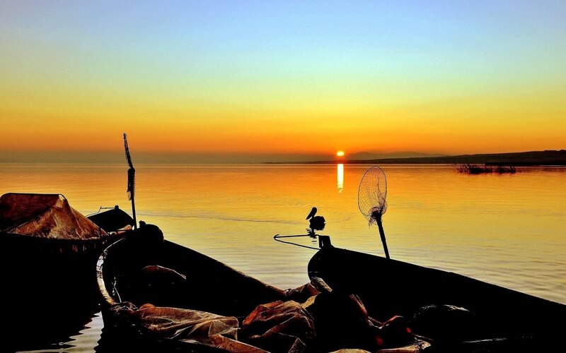 Fishing Boats at Sunset — Orange, Serene, Photograph, Bird