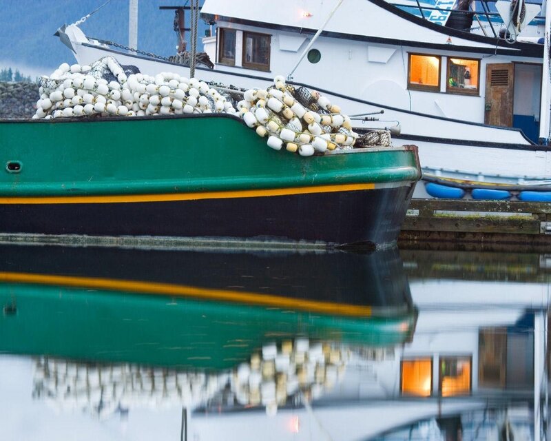 Fishing boats at the harbor