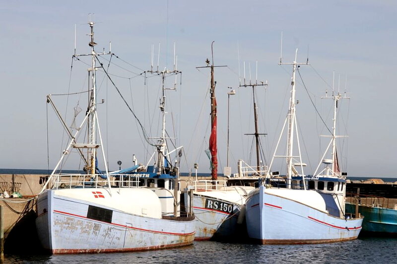 Fishing boats docked at harbor