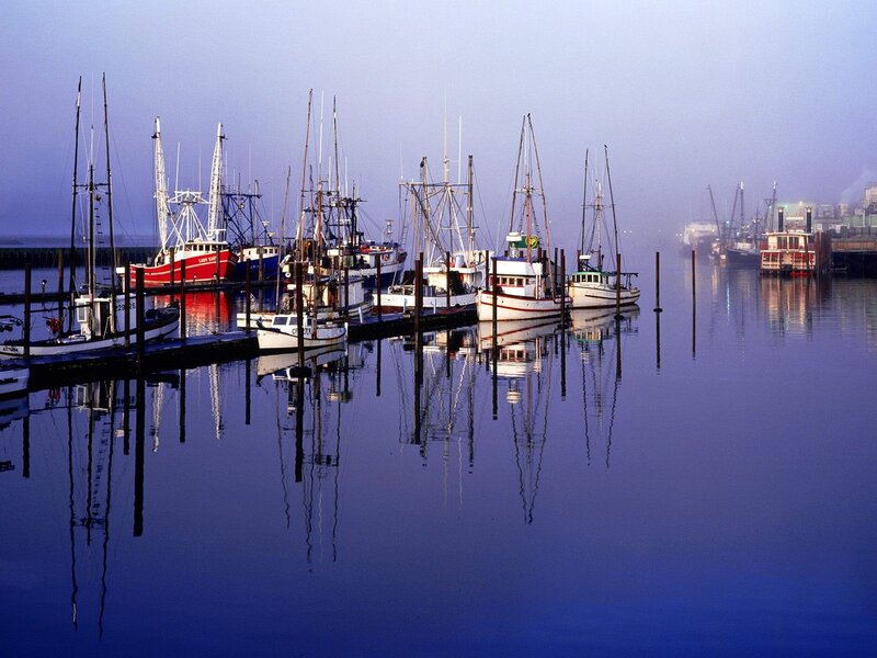Fishing boats docked in fog