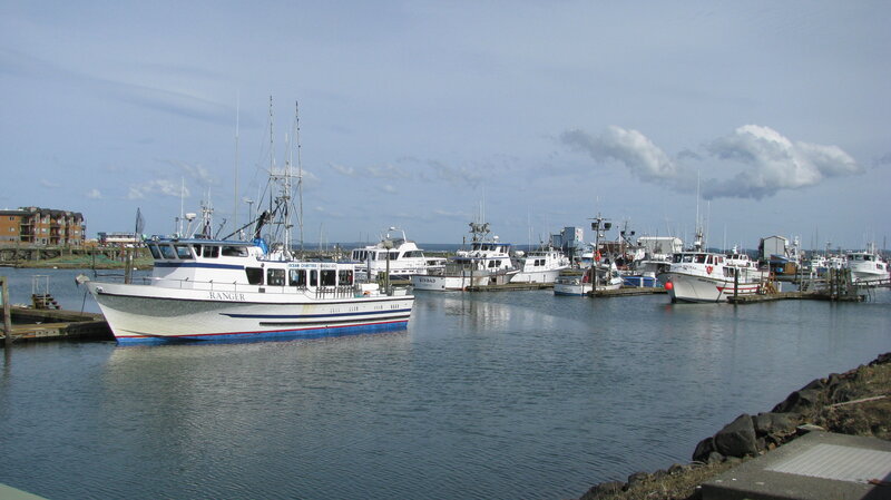 Fishing boats docked in harbor