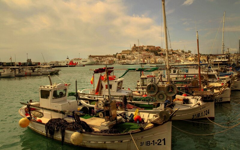 Fishing boats in a coastal harbor