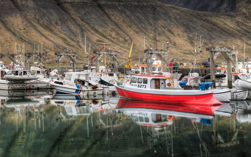 Fishing boats in a harbor