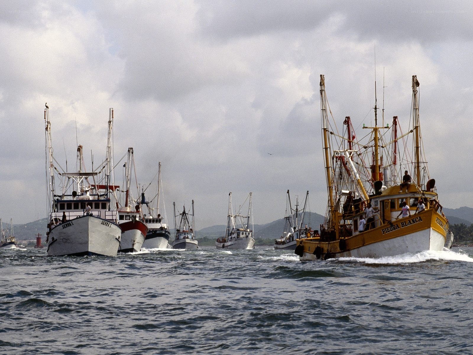 Fishing boats in a harbor
