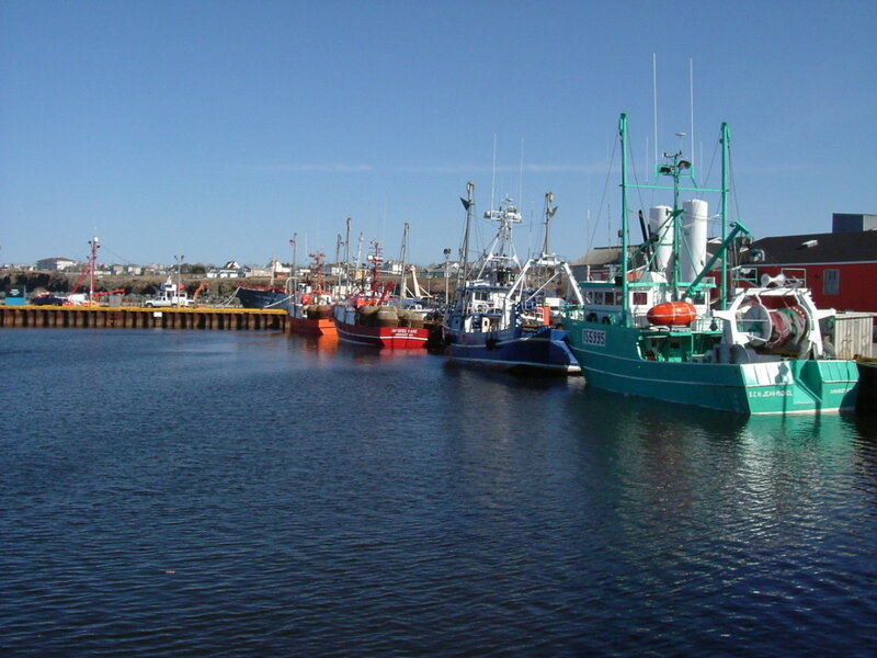 Fishing boats in a harbor