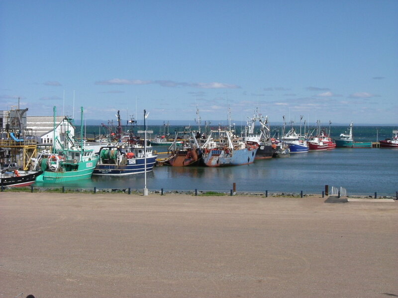 Fishing boats in a harbor