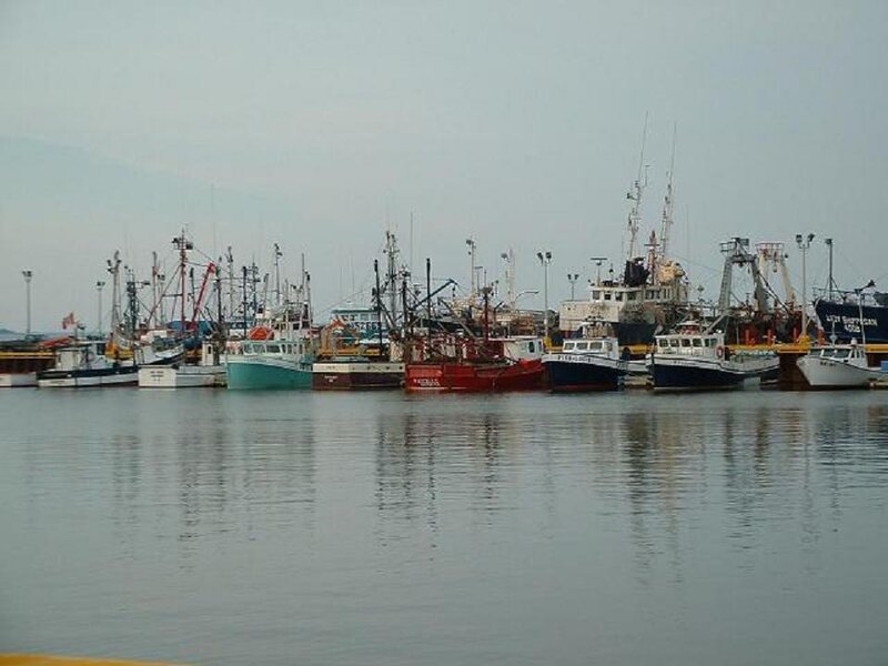 Fishing boats in a harbor
