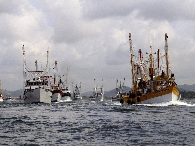 Fishing boats in a harbor
