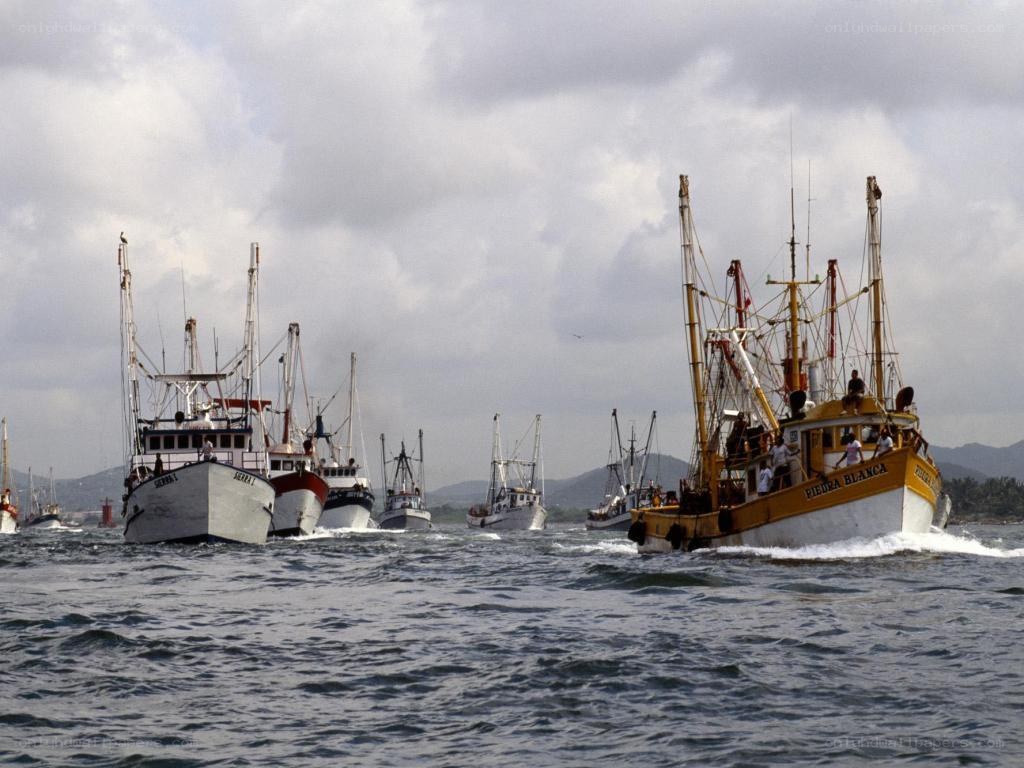 Fishing boats in a harbor
