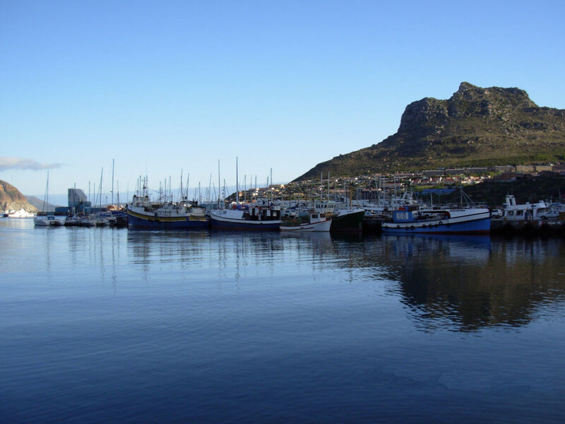 Fishing boats in a harbor