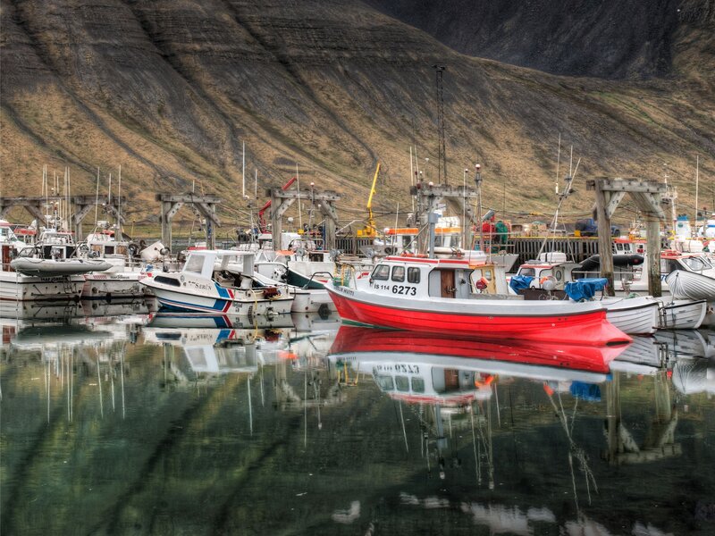 Fishing boats in a harbor
