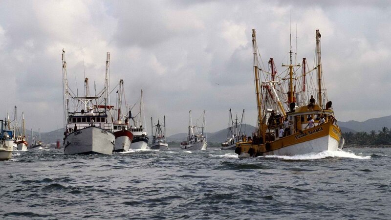 Fishing boats in a harbor